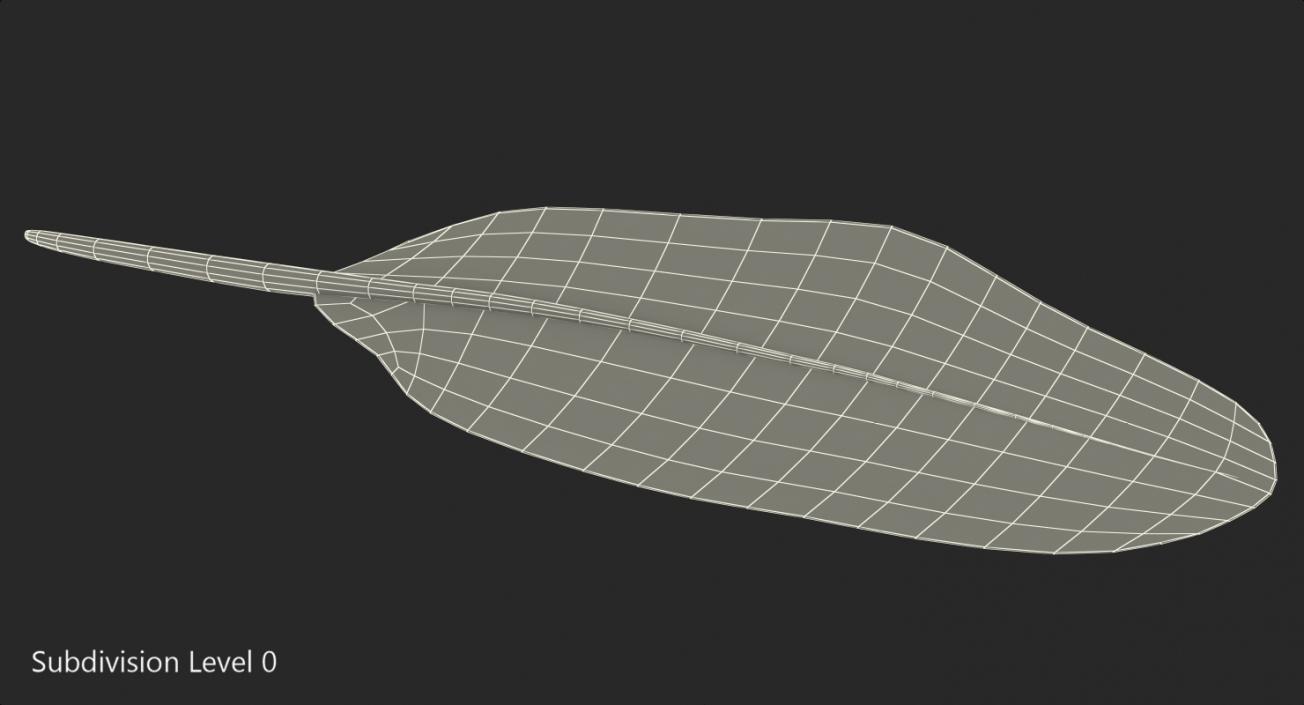 3D Dark Gold Goose Feather model