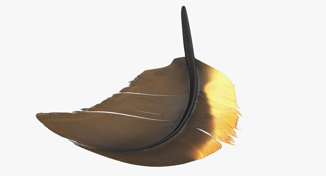 3D Dark Gold Goose Feather model