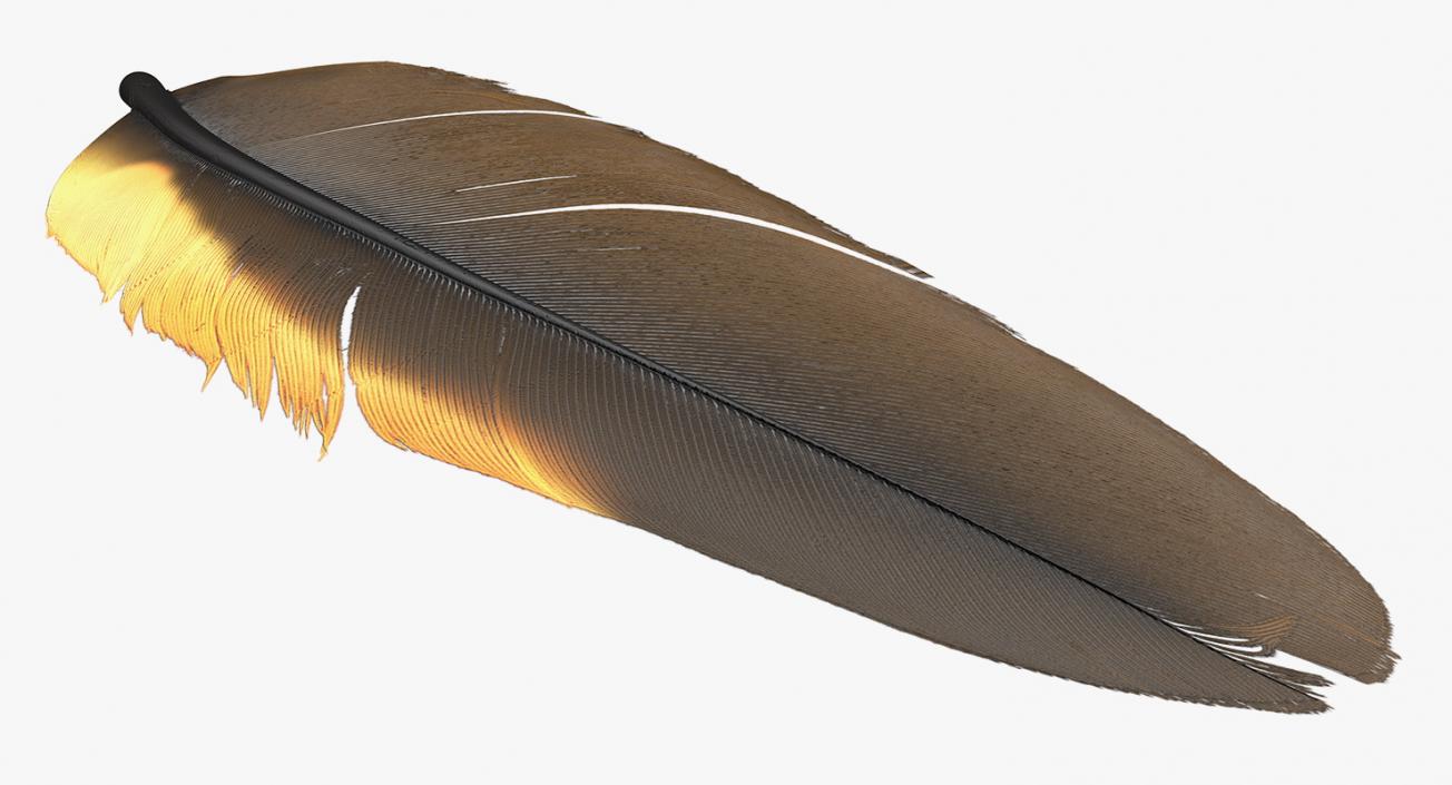 3D Dark Gold Goose Feather model