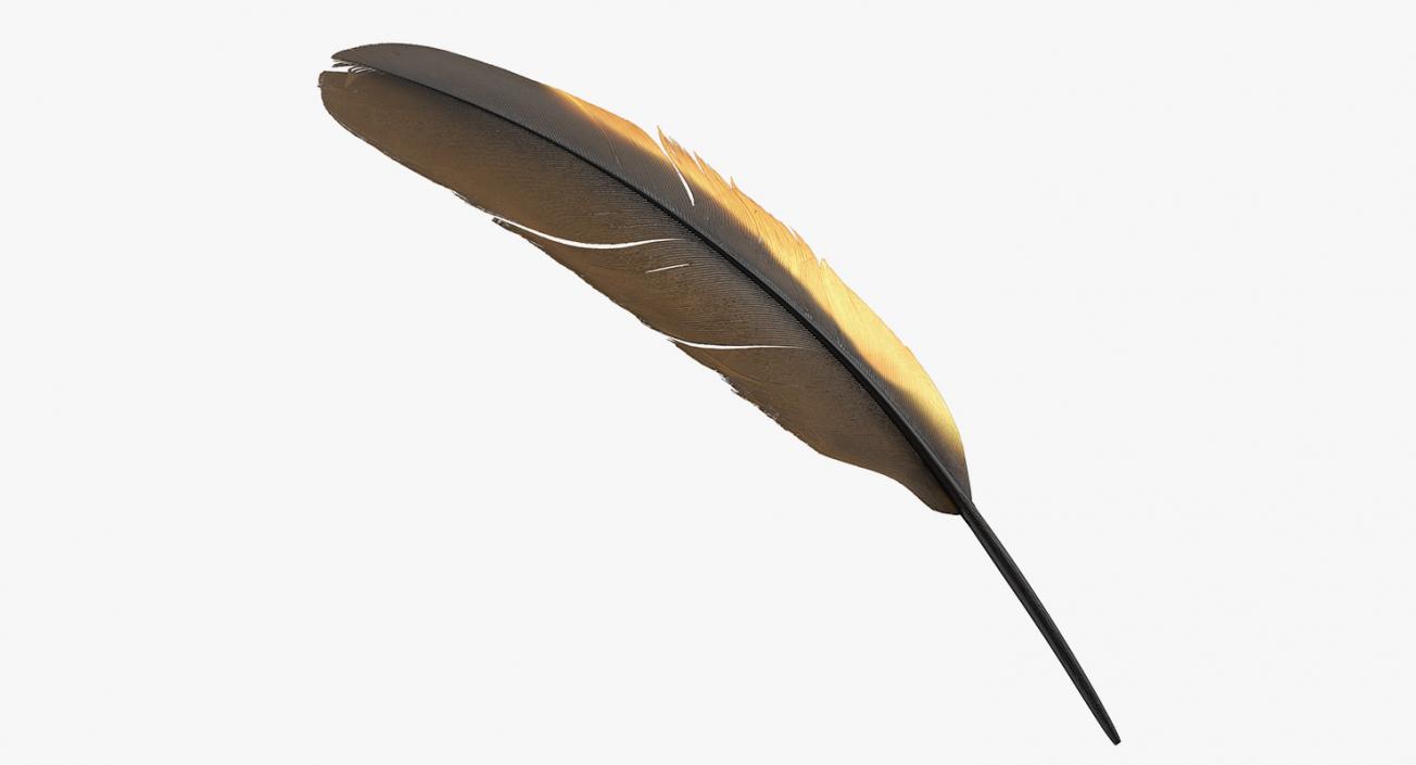 3D Dark Gold Goose Feather model