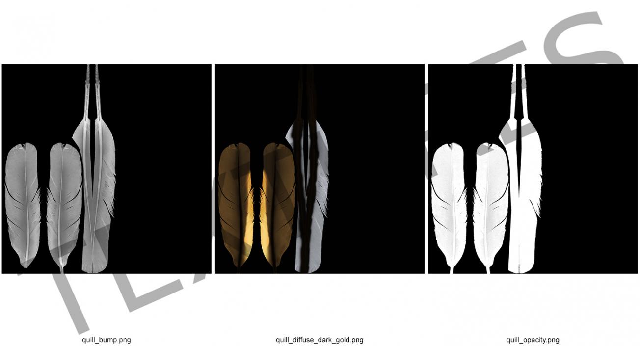 3D Dark Gold Goose Feather model