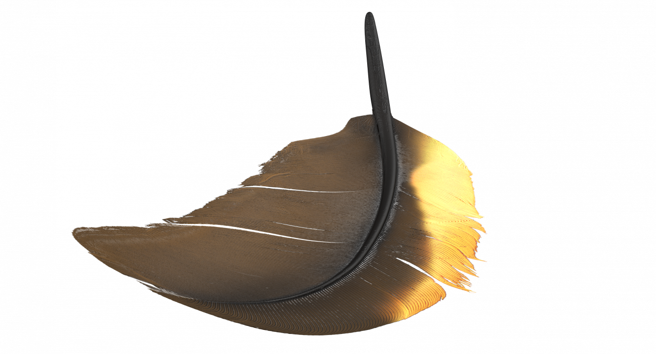 3D Dark Gold Goose Feather model