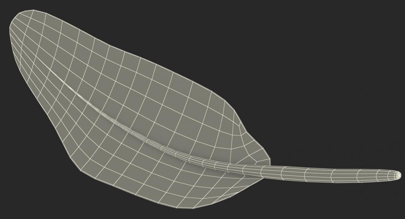 3D Dark Gold Goose Feather model