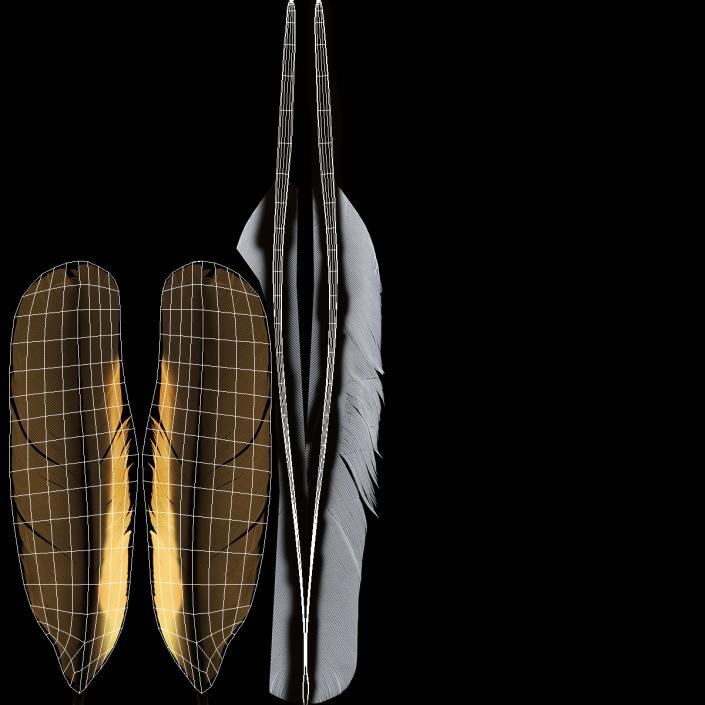 3D Dark Gold Goose Feather model