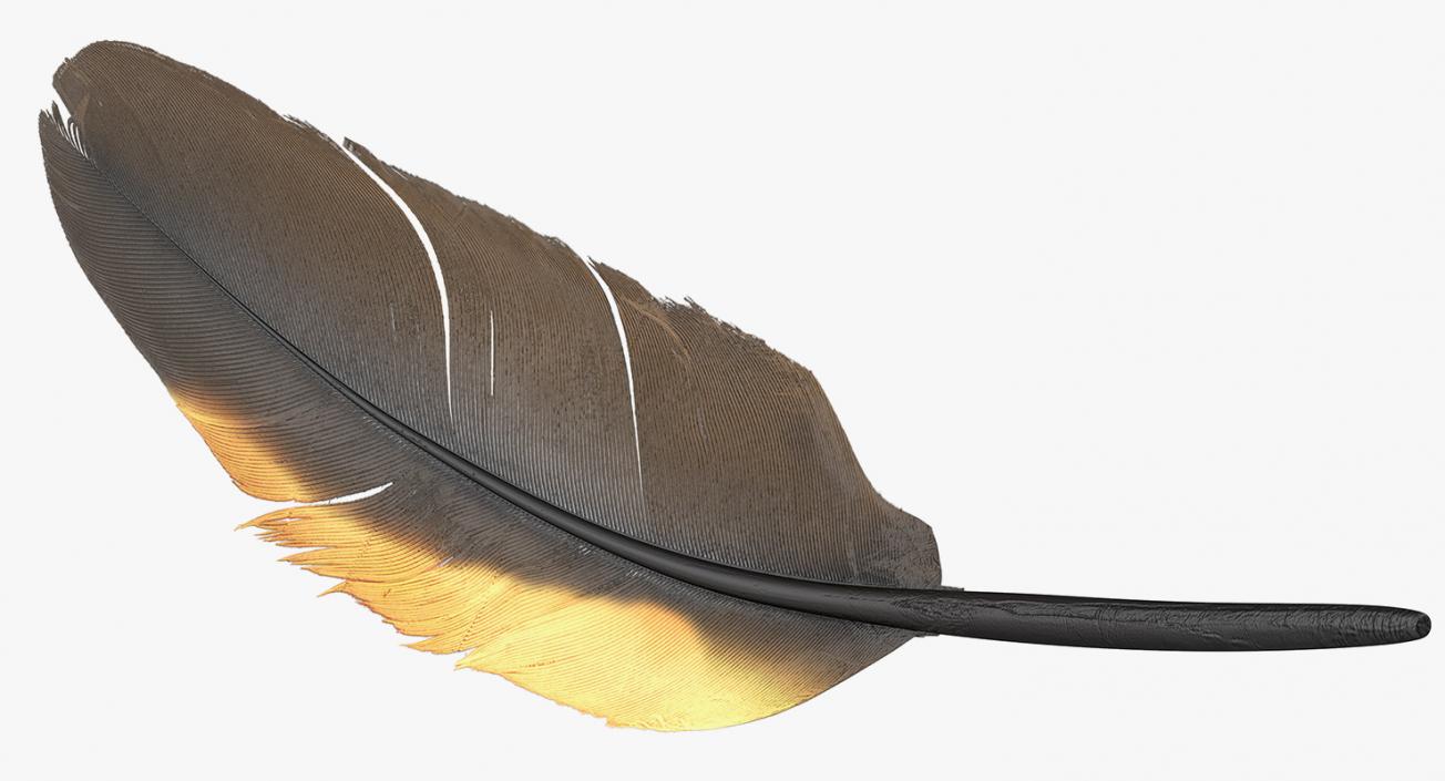 3D Dark Gold Goose Feather model