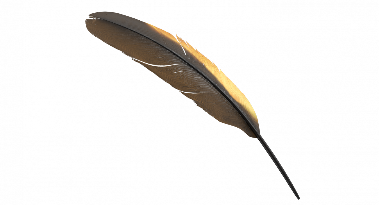 3D Dark Gold Goose Feather model