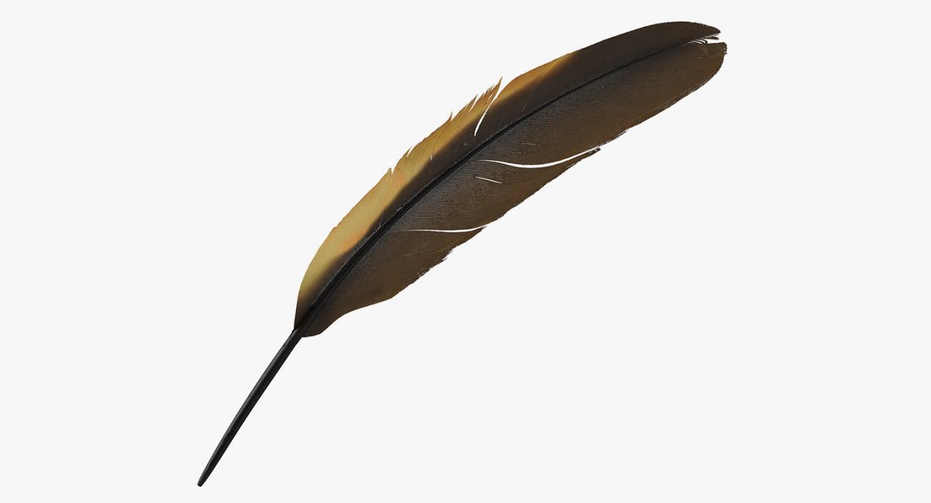 3D Dark Gold Goose Feather model