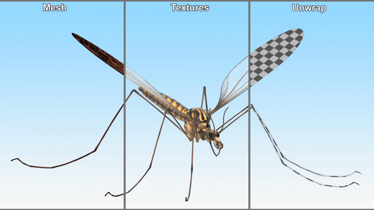 3D model Crane Fly Fur Rigged