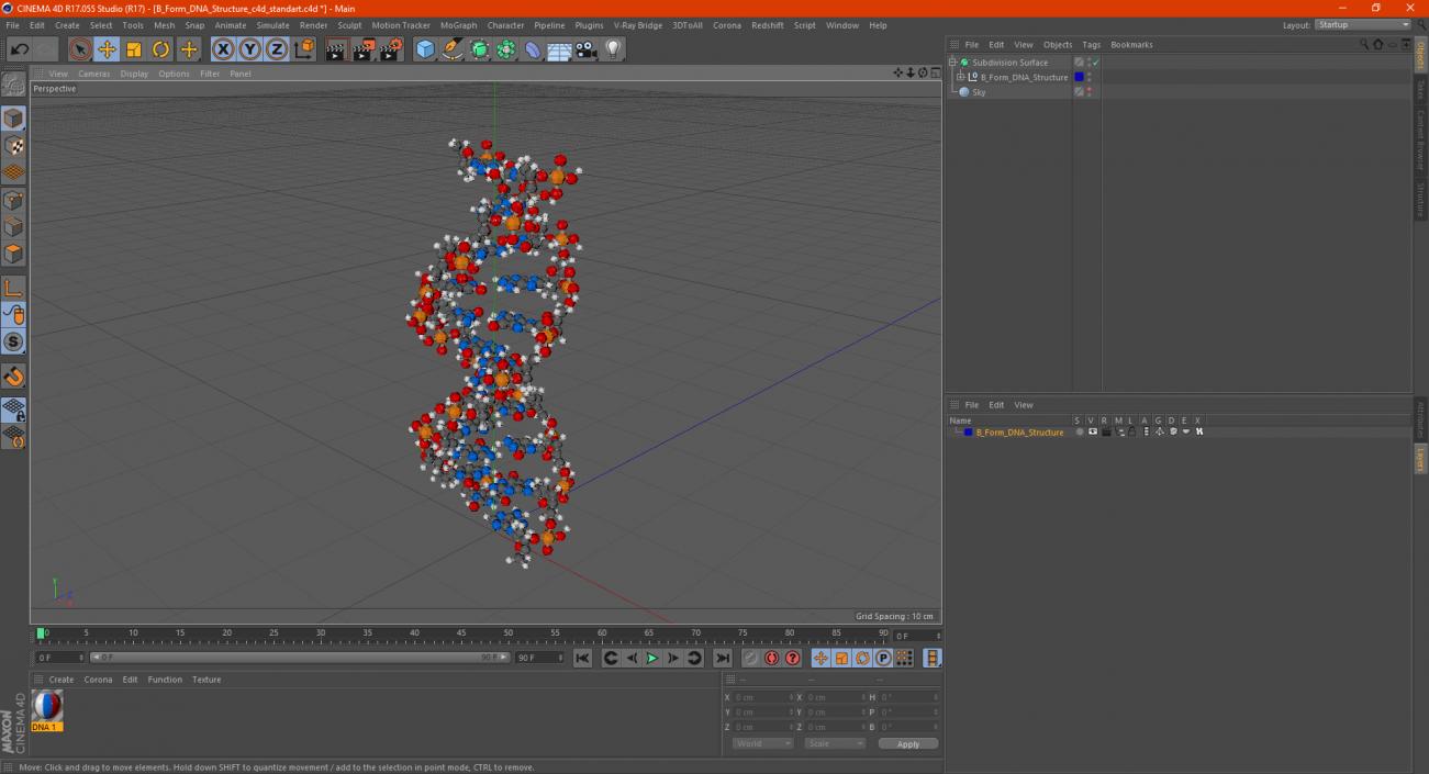 3D model B Form DNA Structure