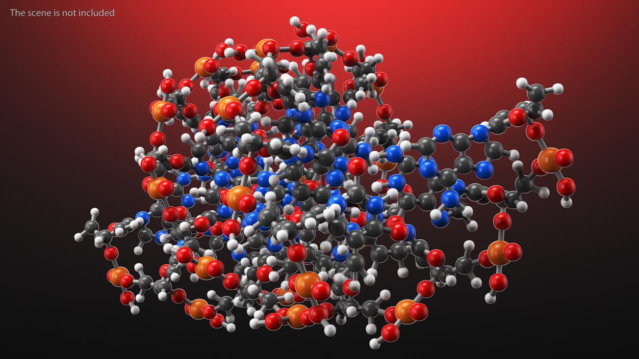 3D model B Form DNA Structure