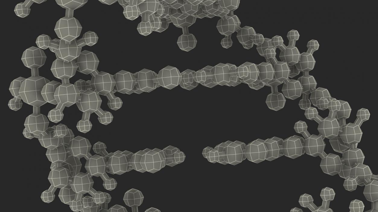 3D model B Form DNA Structure