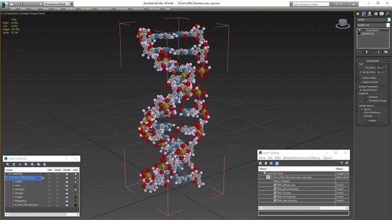 3D model B Form DNA Structure