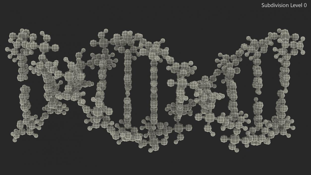 3D model B Form DNA Structure