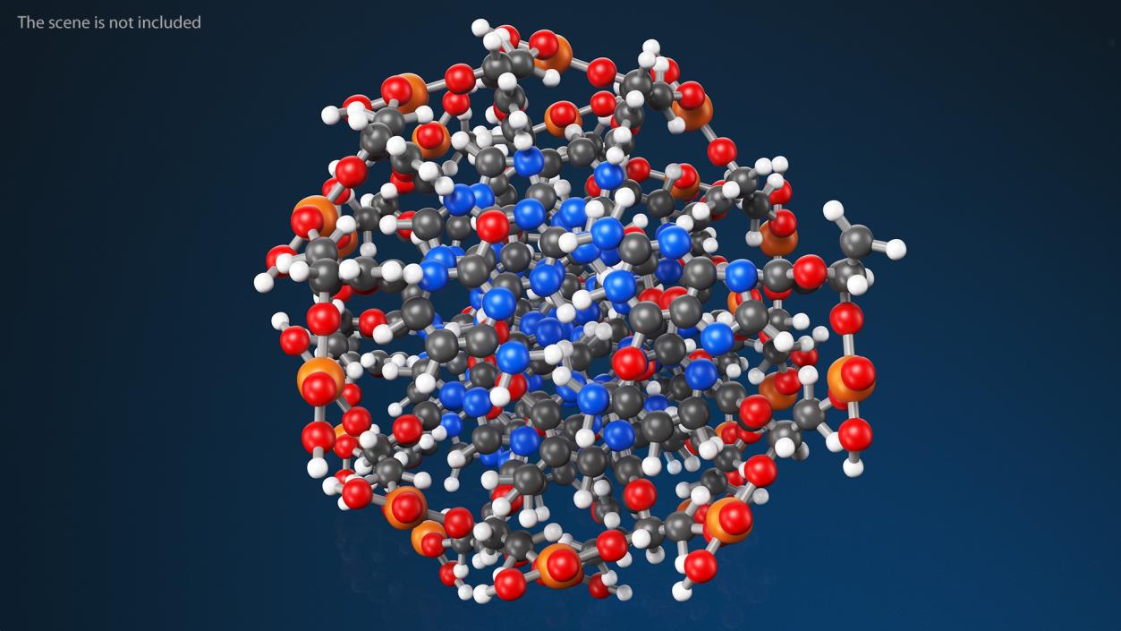 3D model B Form DNA Structure