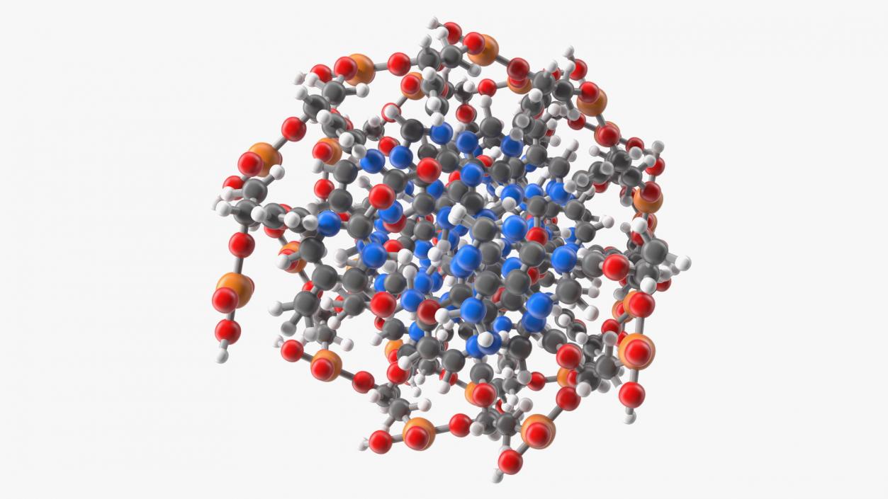 3D model B Form DNA Structure