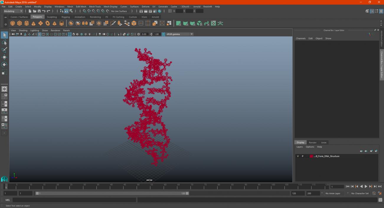 3D model B Form DNA Structure