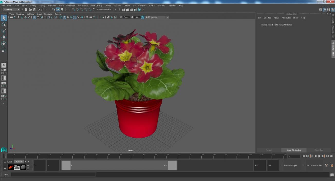 Red Potted Primrose 3D model