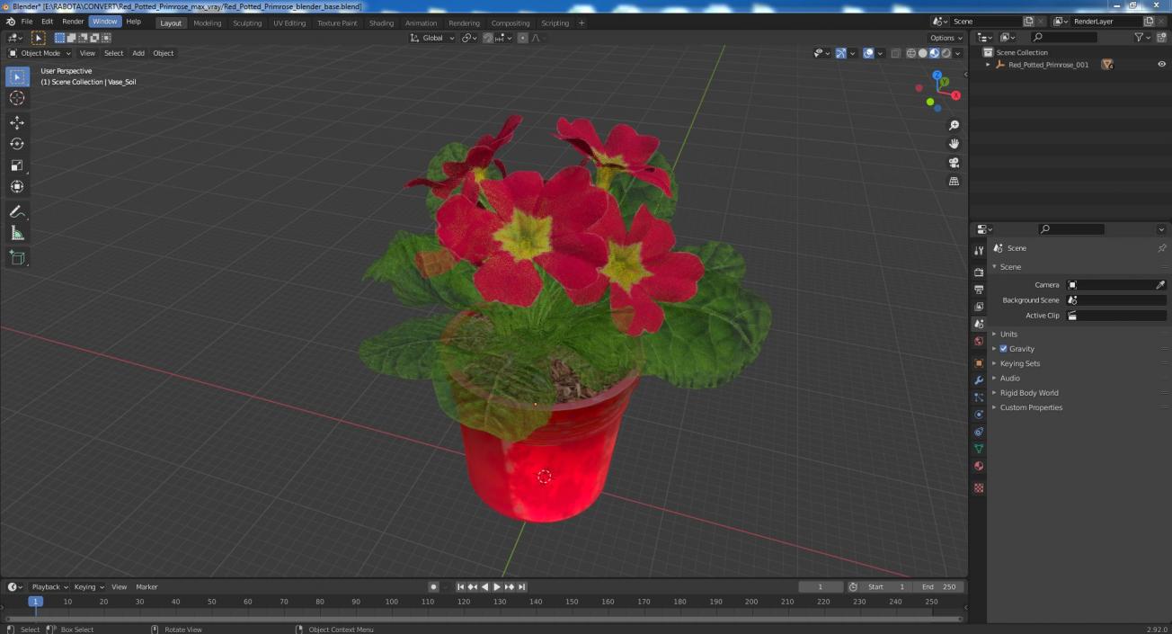 Red Potted Primrose 3D model