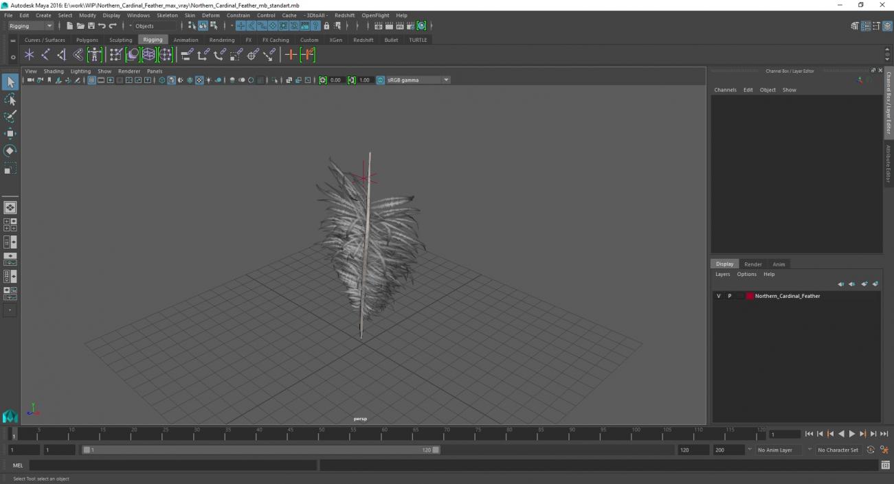 3D model Northern Cardinal Feather