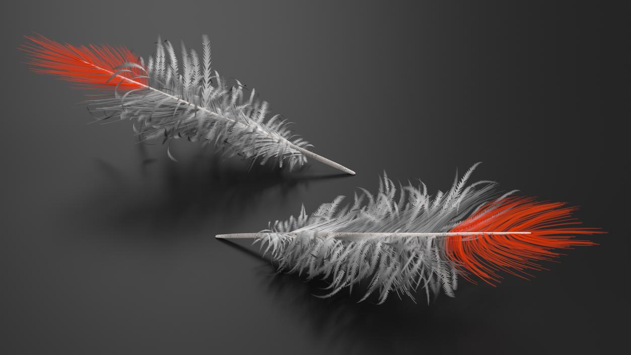 3D model Northern Cardinal Feather