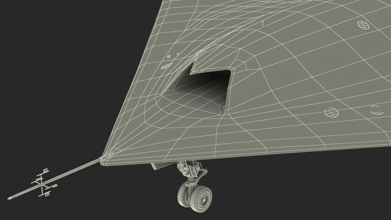 Stealth UCAV Rigged 3D model