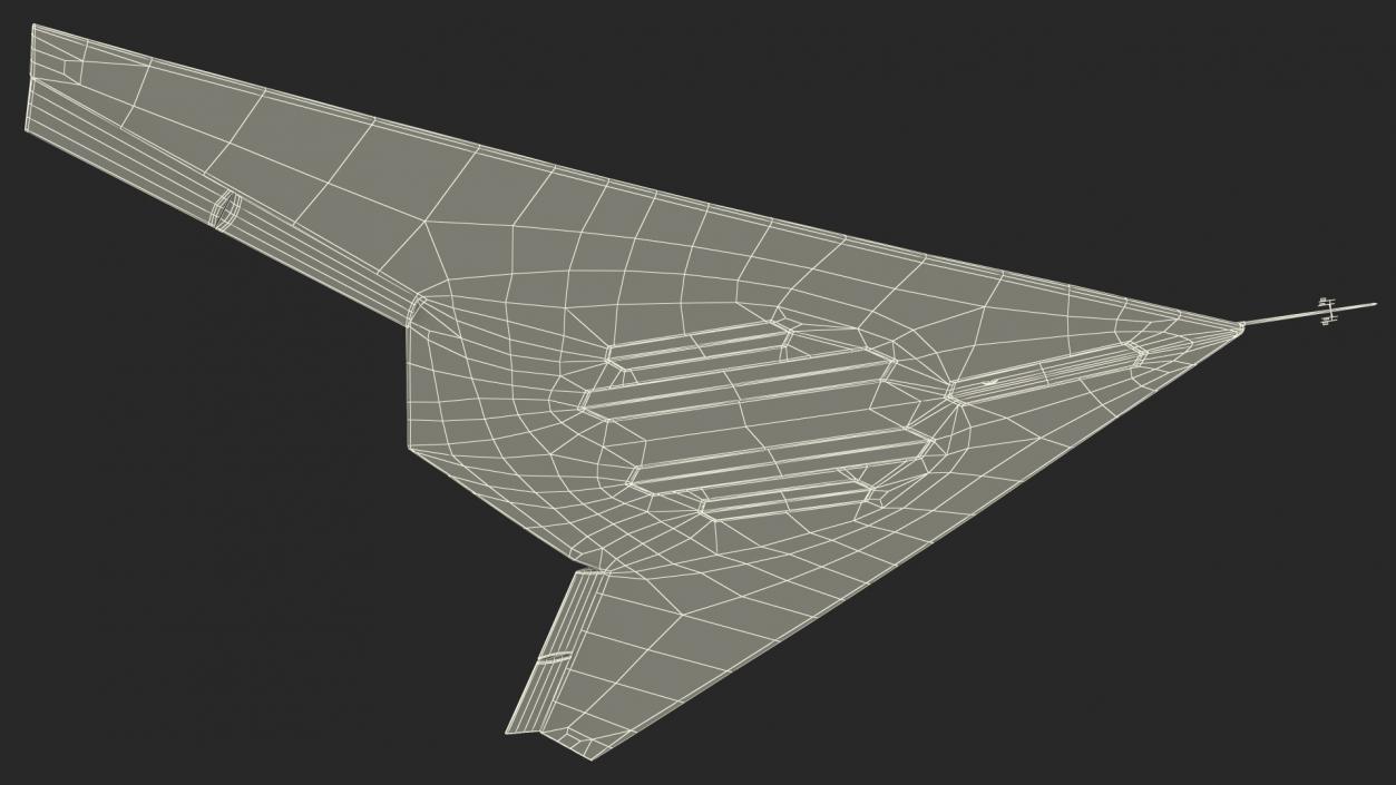 Stealth UCAV Rigged 3D model