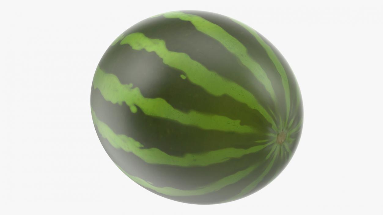 3D Cartoon Watermelon model