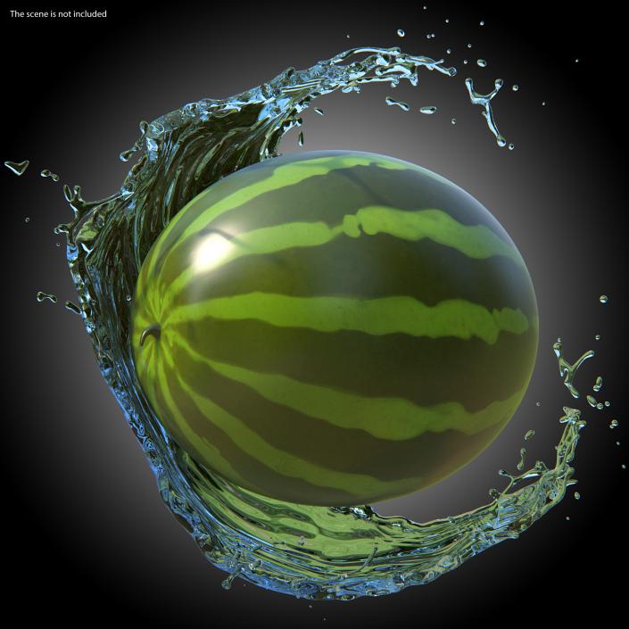 3D Cartoon Watermelon model