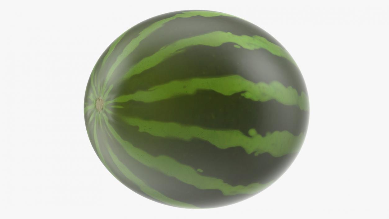 3D Cartoon Watermelon model