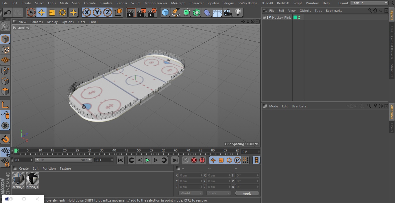 3D Hockey Rink