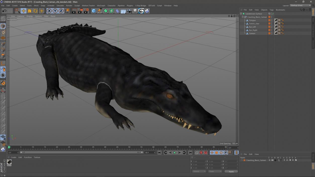 3D Crawling Black Caiman