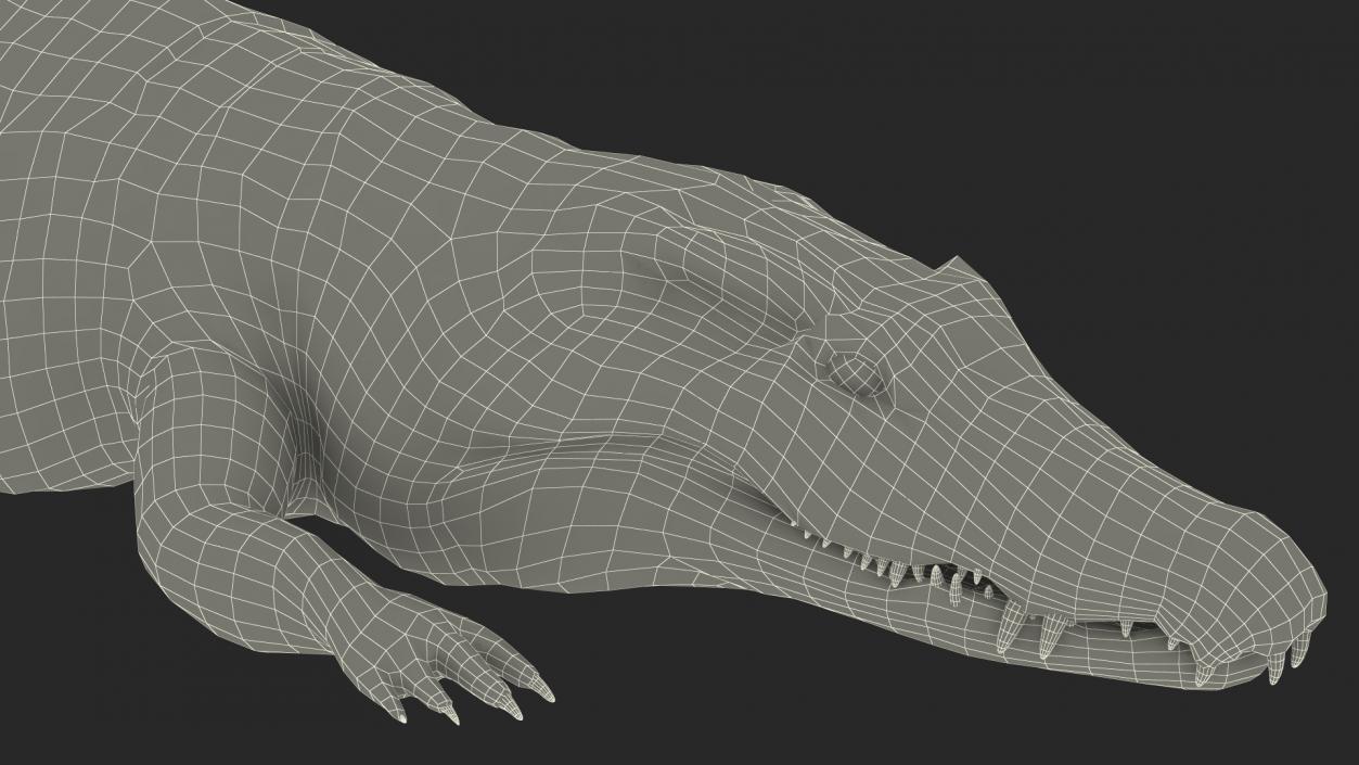 3D Crawling Black Caiman