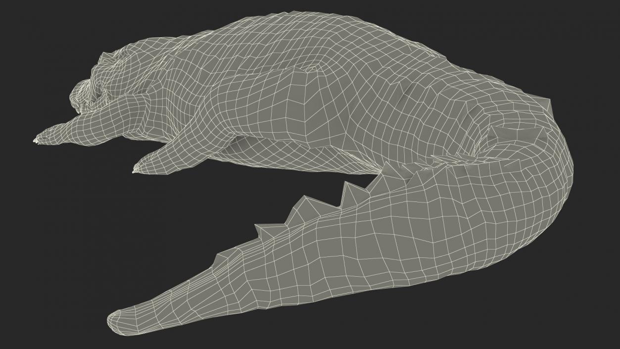 3D Crawling Black Caiman