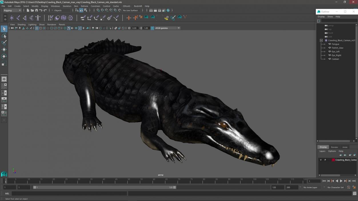 3D Crawling Black Caiman