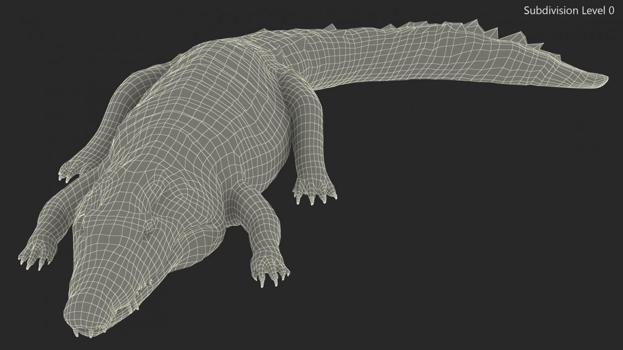 3D Crawling Black Caiman