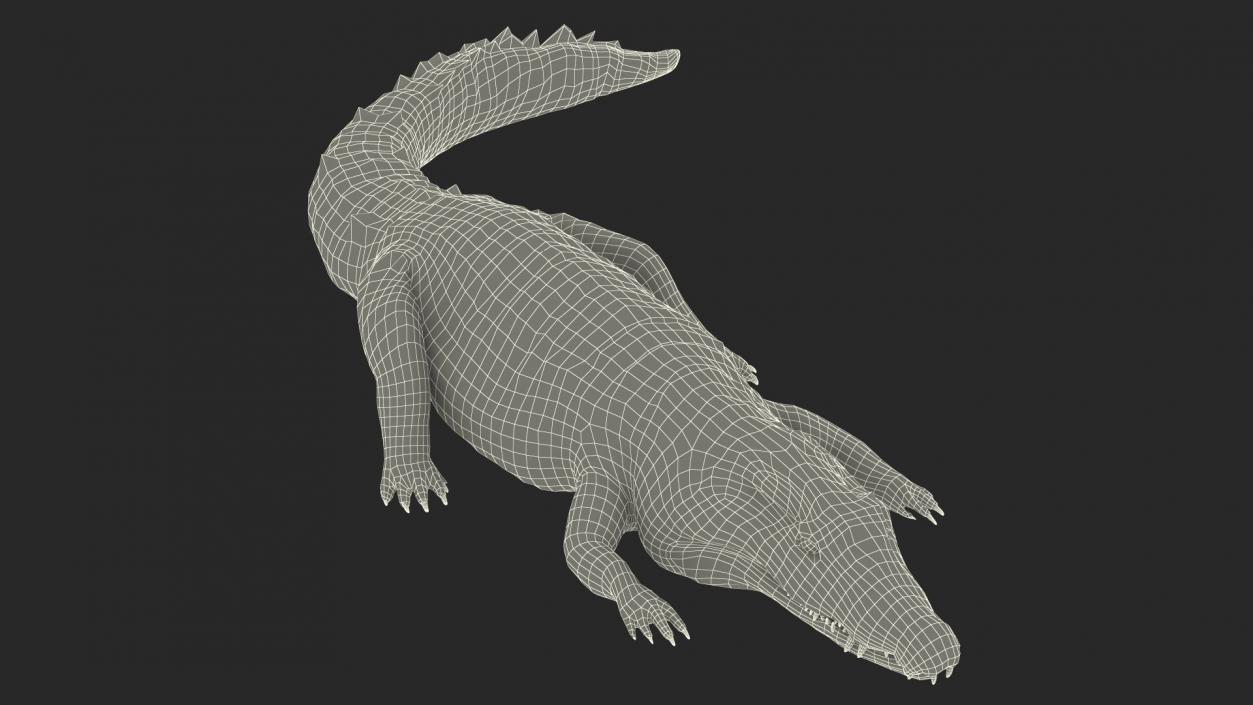 3D Crawling Black Caiman