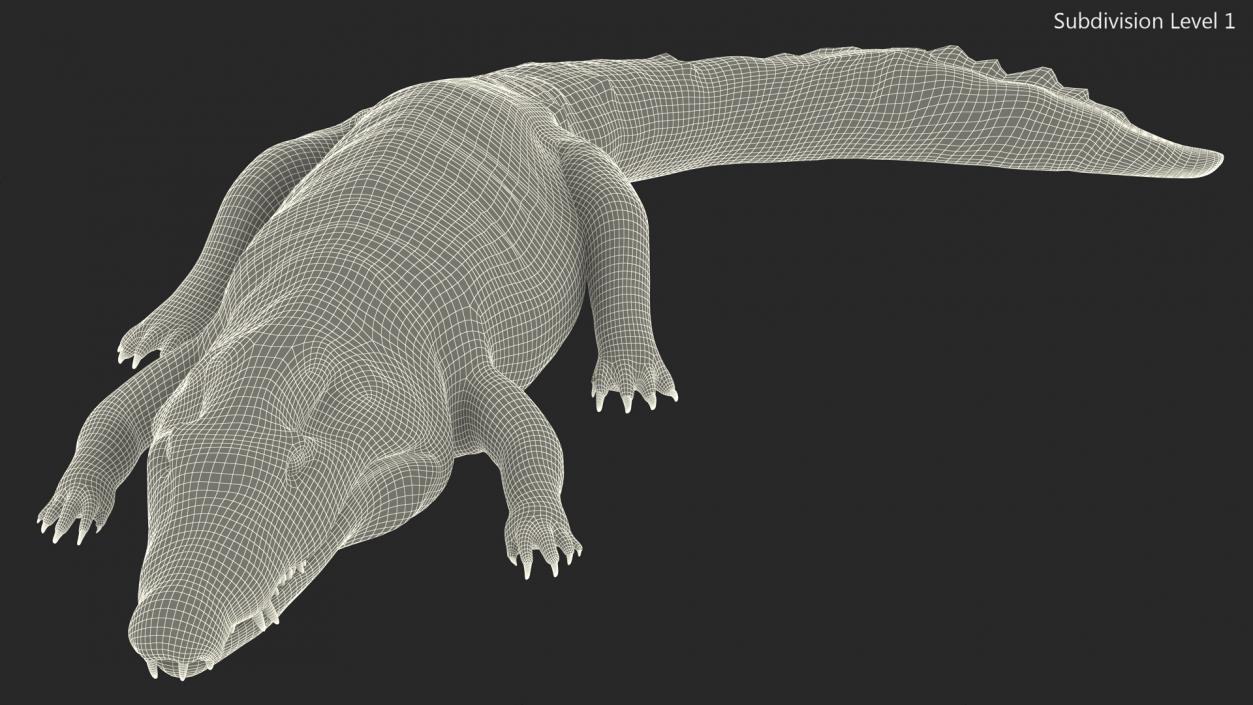 3D Crawling Black Caiman