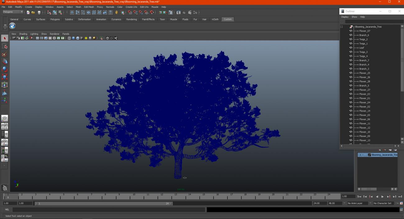 3D Blooming Jacaranda Tree model