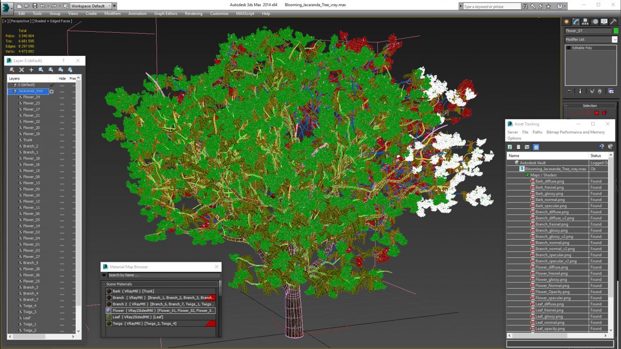 3D Blooming Jacaranda Tree model