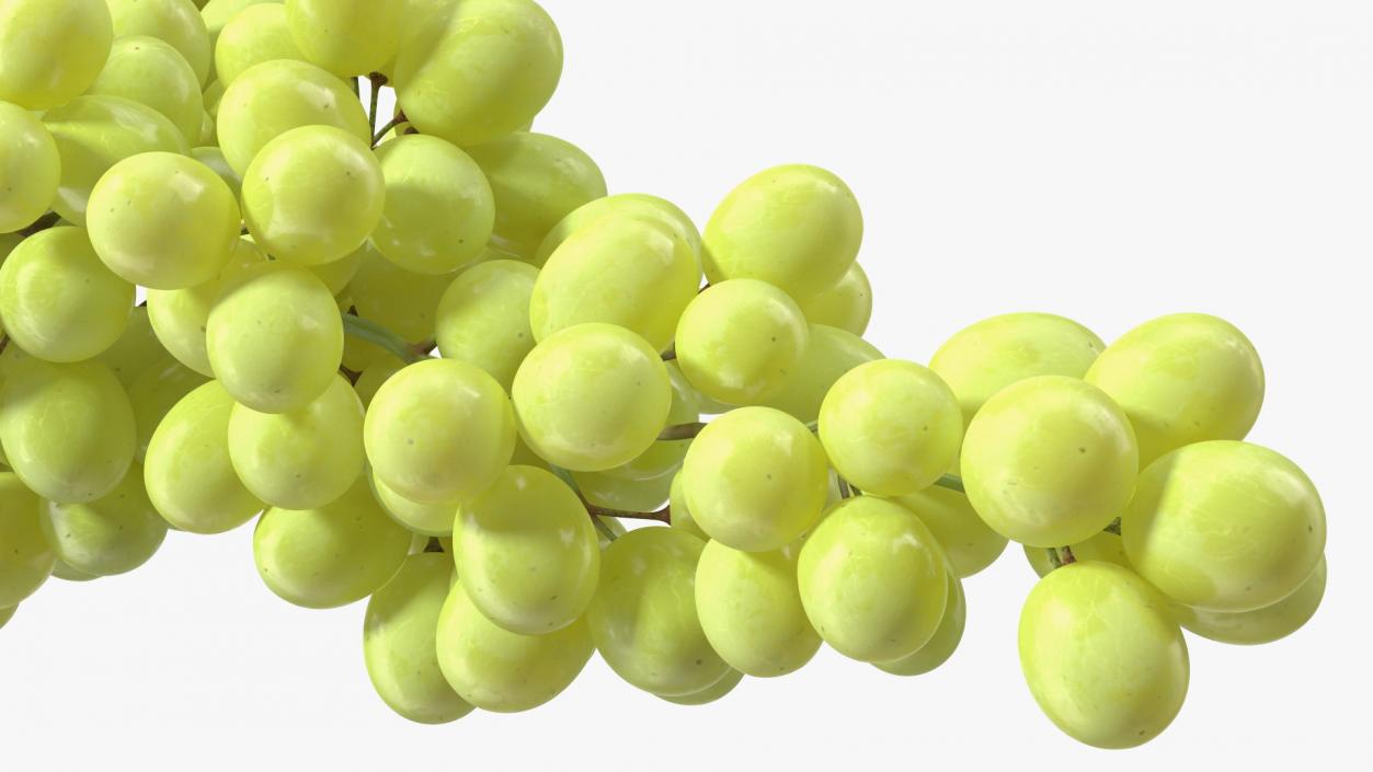 Green Sultana Grape Cluster 3D