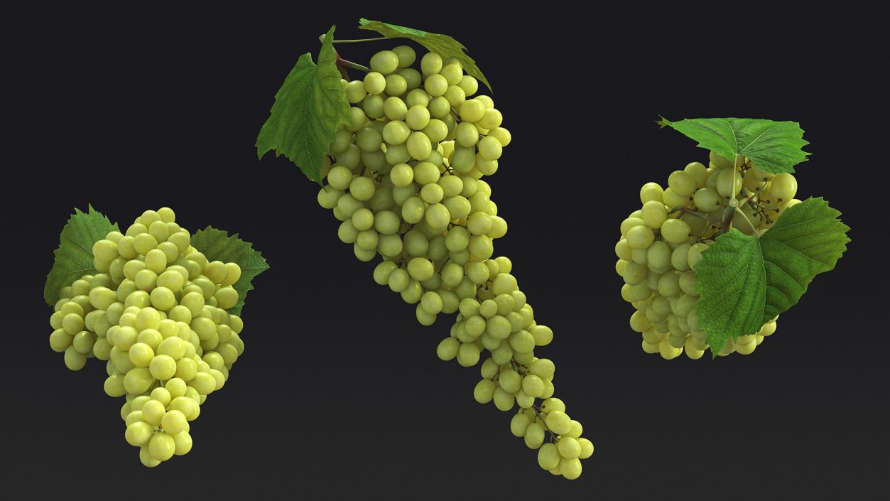 Green Sultana Grape Cluster 3D