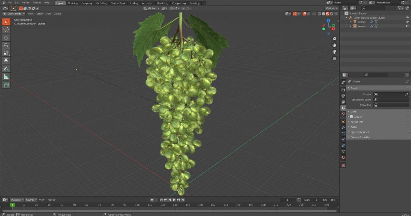 Green Sultana Grape Cluster 3D