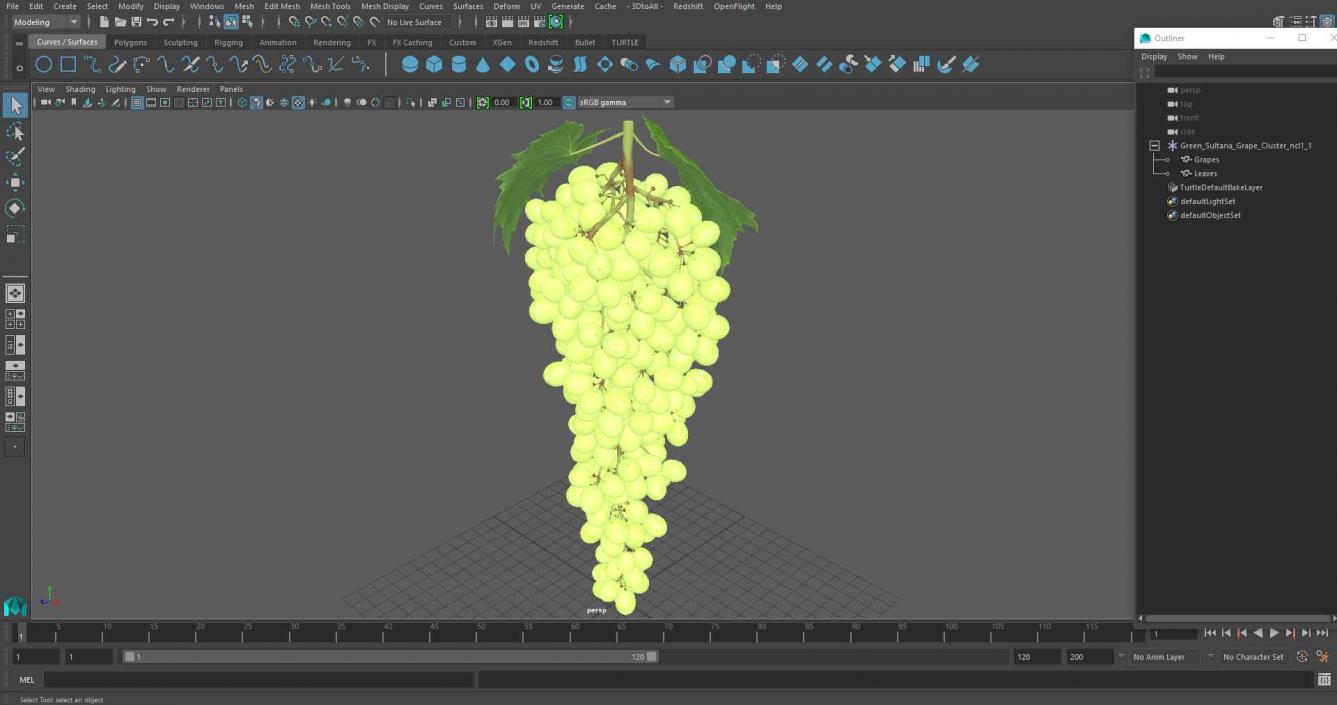 Green Sultana Grape Cluster 3D