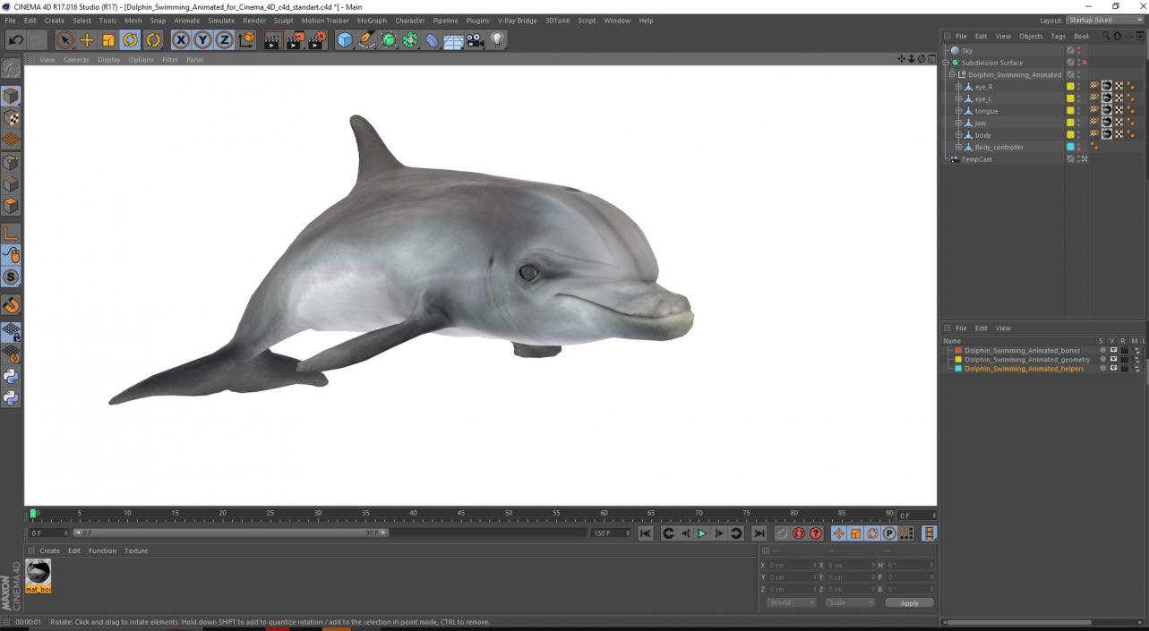 Dolphin Swimming Animated for Cinema 4D 3D model