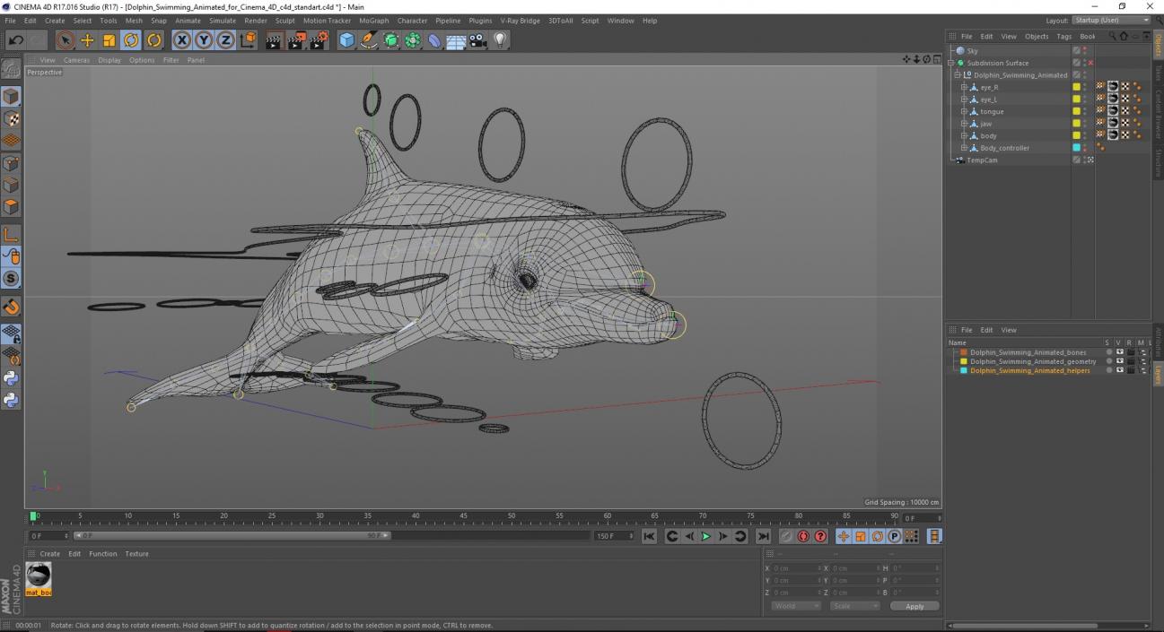 Dolphin Swimming Animated for Cinema 4D 3D model