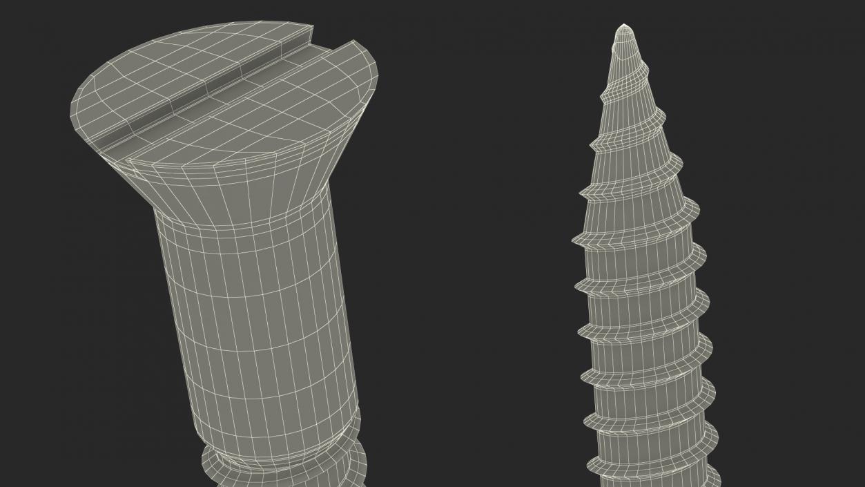 Wood Screw 2 3D