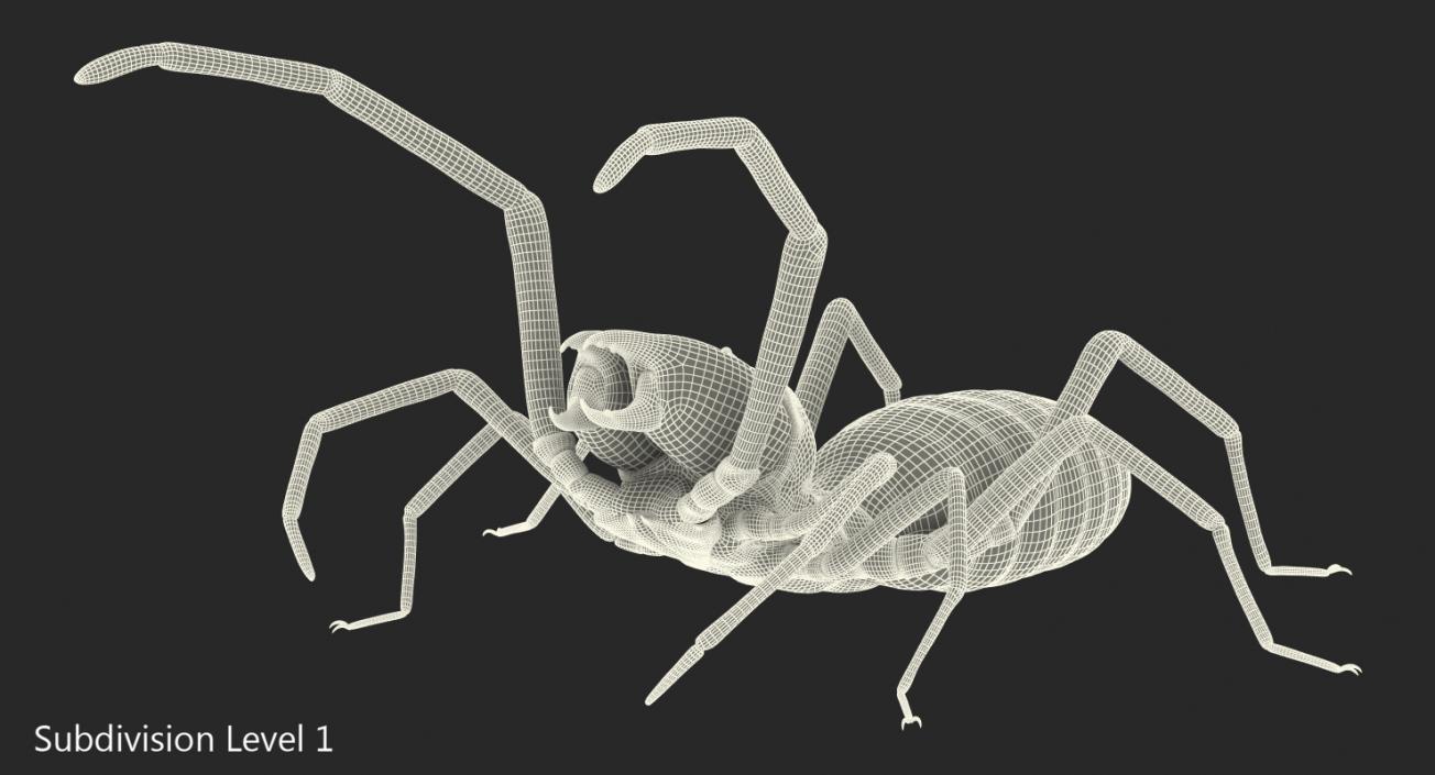 Wind Scorpion Spider with Fur 3D model