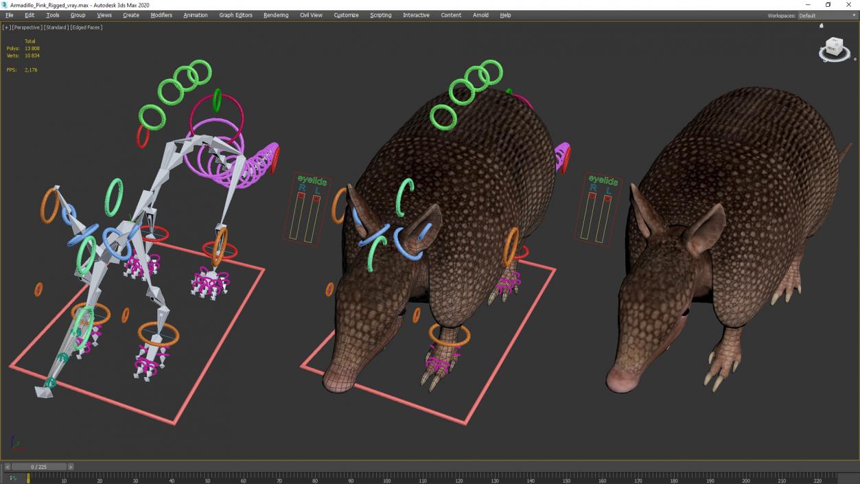 3D Armadillo Pink Rigged