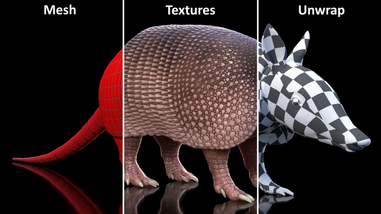 3D Armadillo Pink Rigged