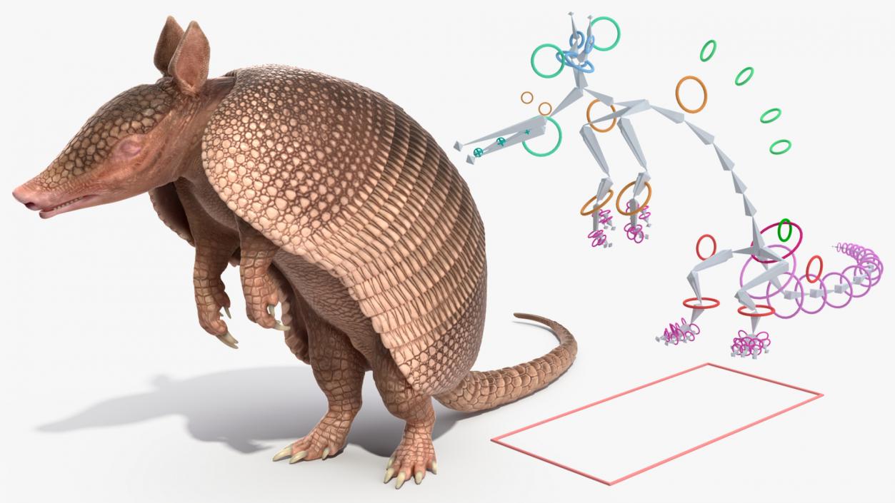 3D Armadillo Pink Rigged